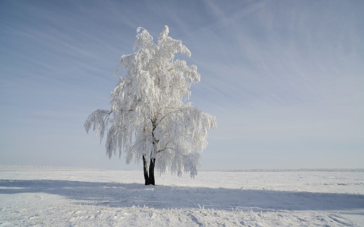 969379 (a): :2560x1600